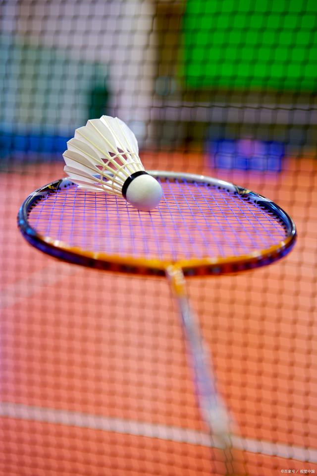 也成为了本 也成为了本